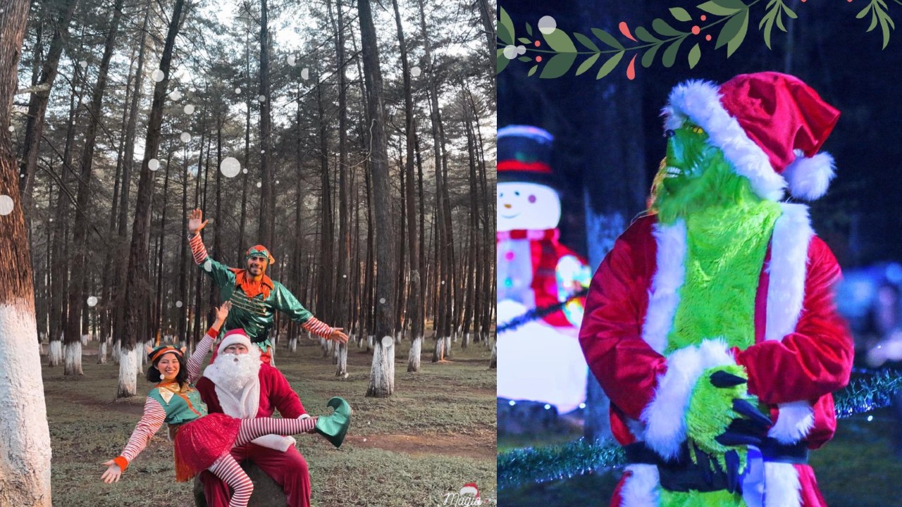 Mineral del Chico: las actividades que El Cedral lleva a cabo durante Navidad