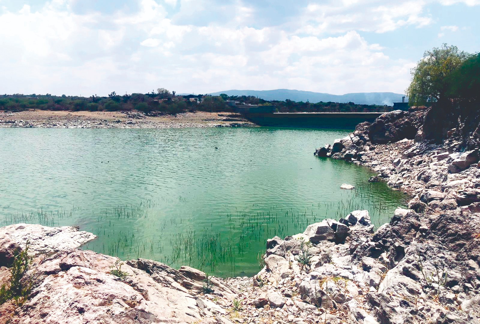 Alfajayucan: presa Vicente Aguirre en 2 años no pasa de 5% de agua