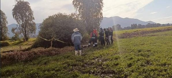 Localizan cadáver de un recién nacido en una zanja en Francisco I. Madero