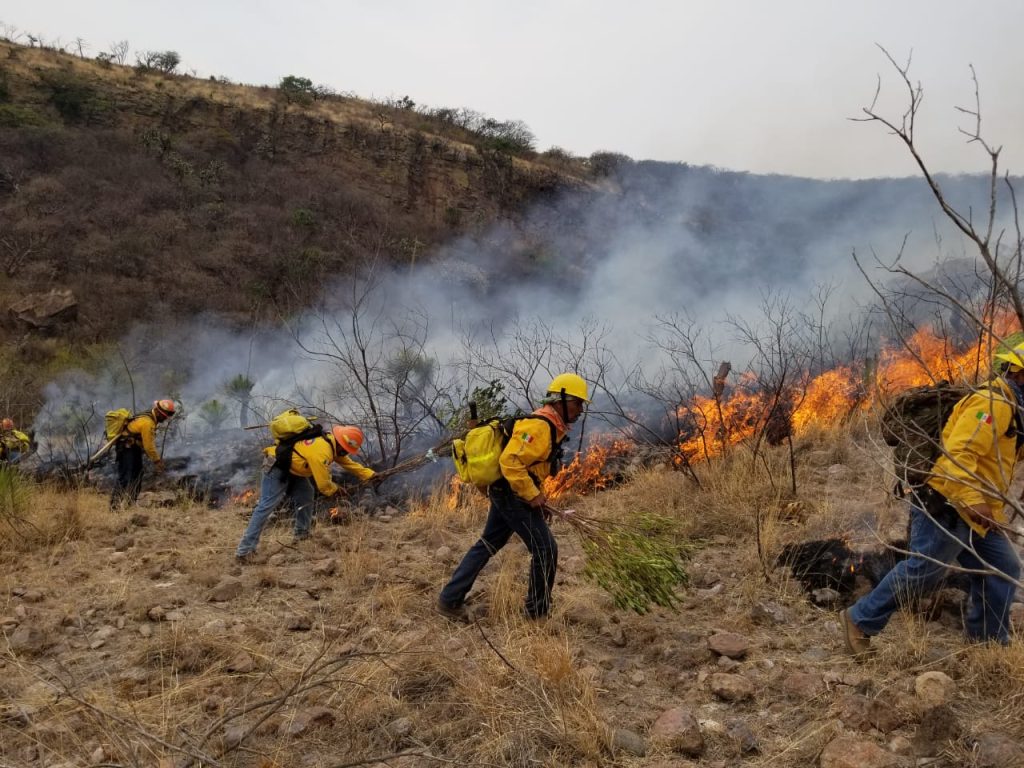 Reporta Conafor 169 incendios forestales activos