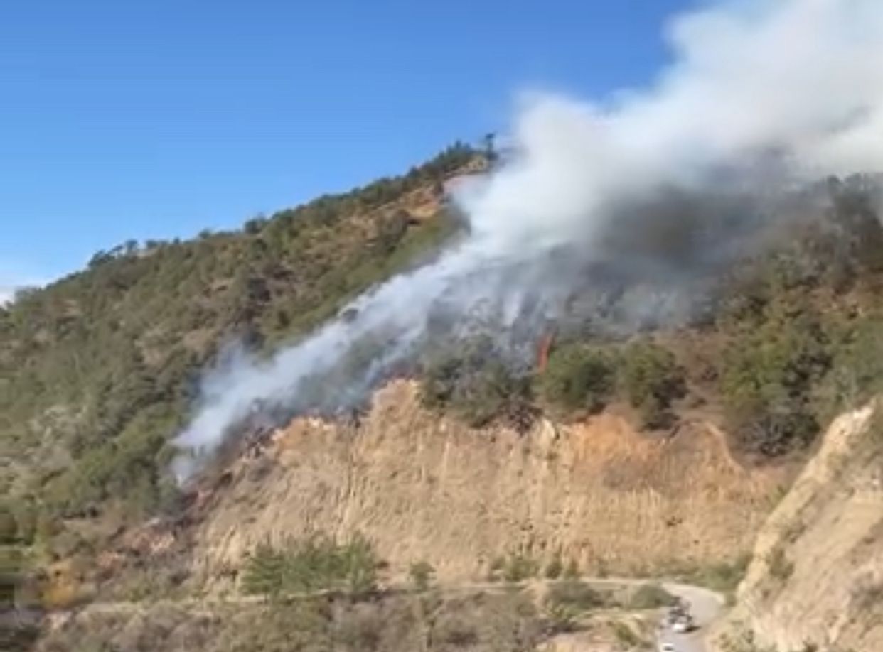 Nicolás Flores: incendio forestal consume cerro de Villa Hermosa