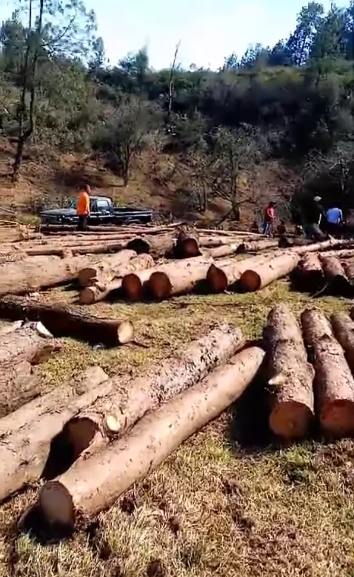 Acaxochitlán: talamontes devastan sitio turístico en las Cascadas de Chimalapa