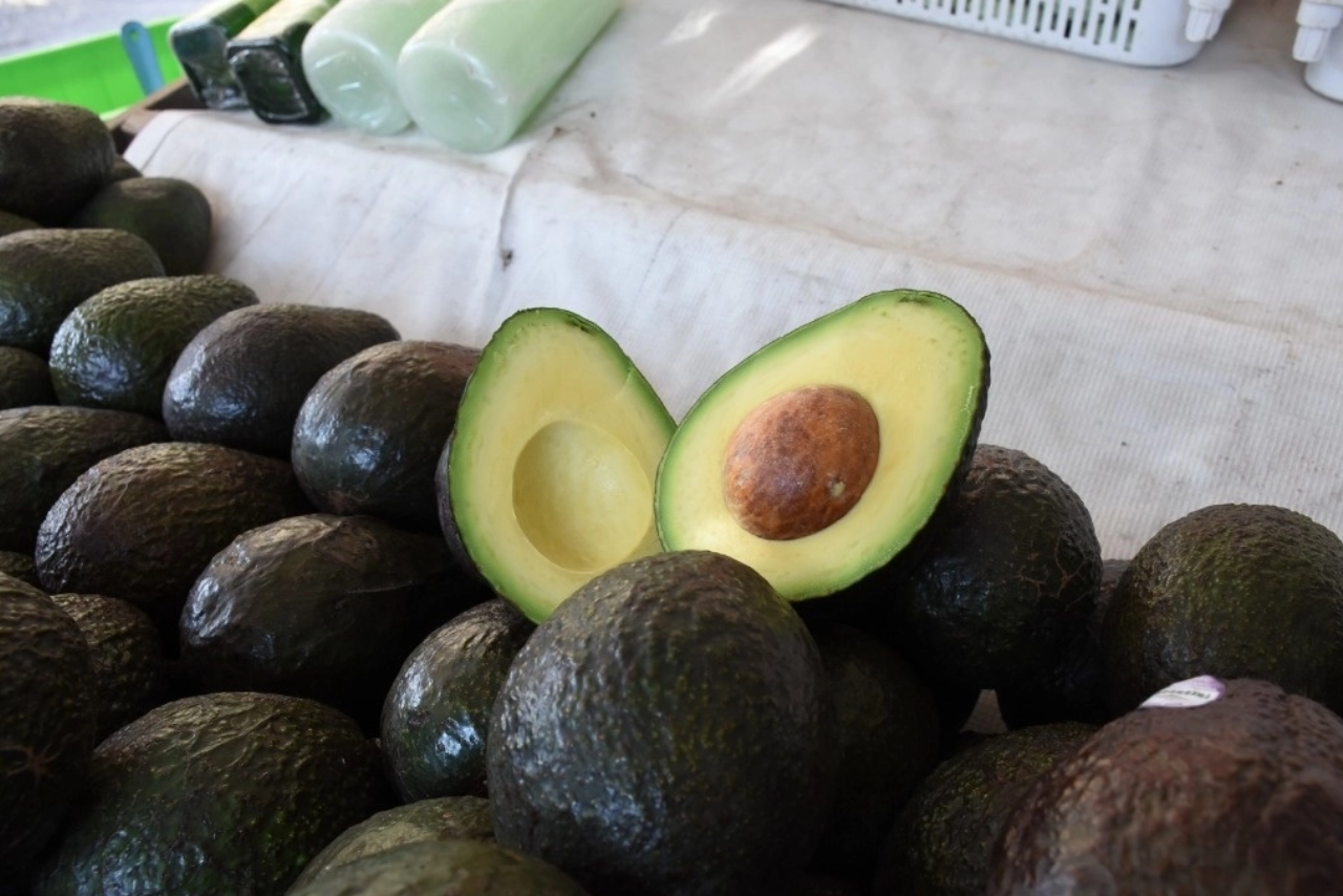 El aguacate mexicano conservó el mercado ante la competencia de Sudamérica