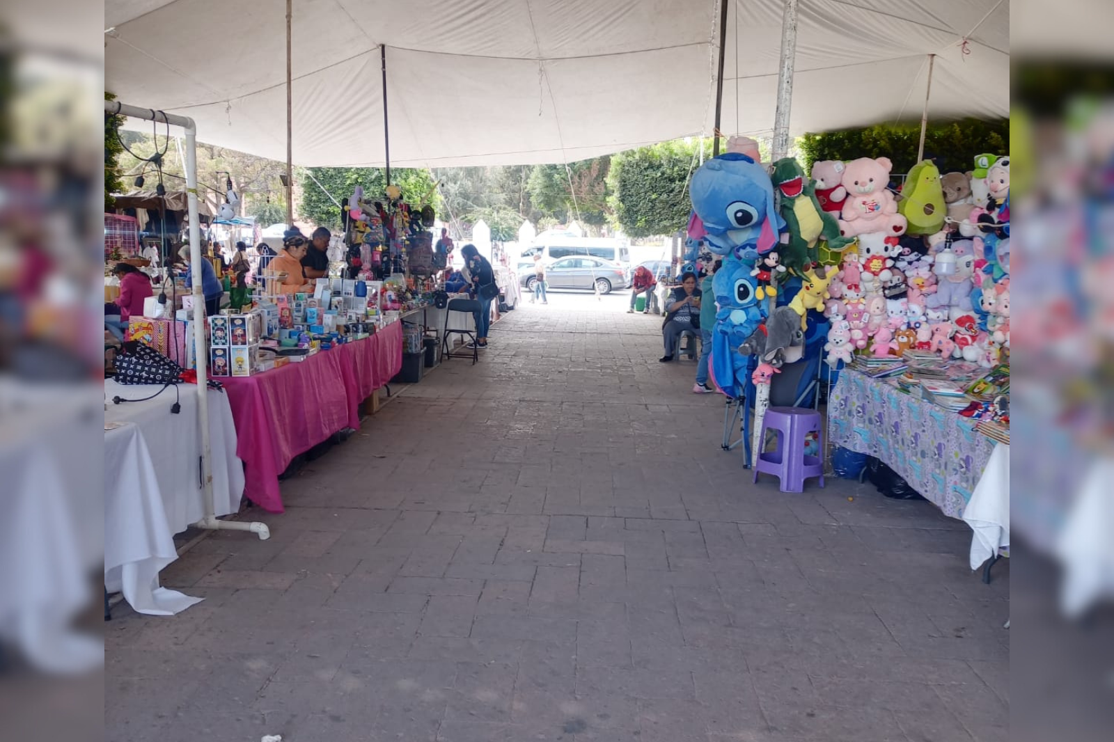 Flores, globos y peluches: lo que más compran en Ixmiquilpan para celebrar el 14 de febrero