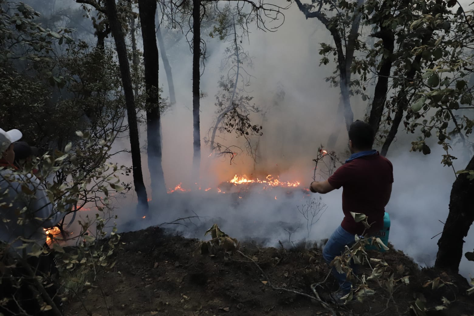 Se reactiva incendio forestal en Mineral del Chico; otro más en Nicolás Flores