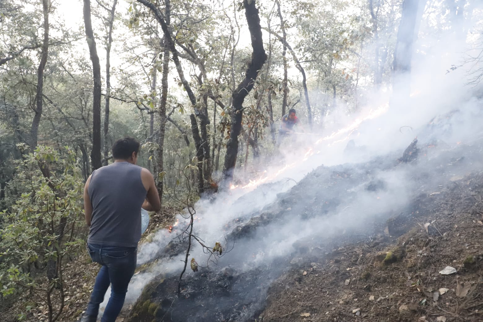 Mantienen brigadas por incendios forestales en Mineral del Chico y en Nicolás Flores