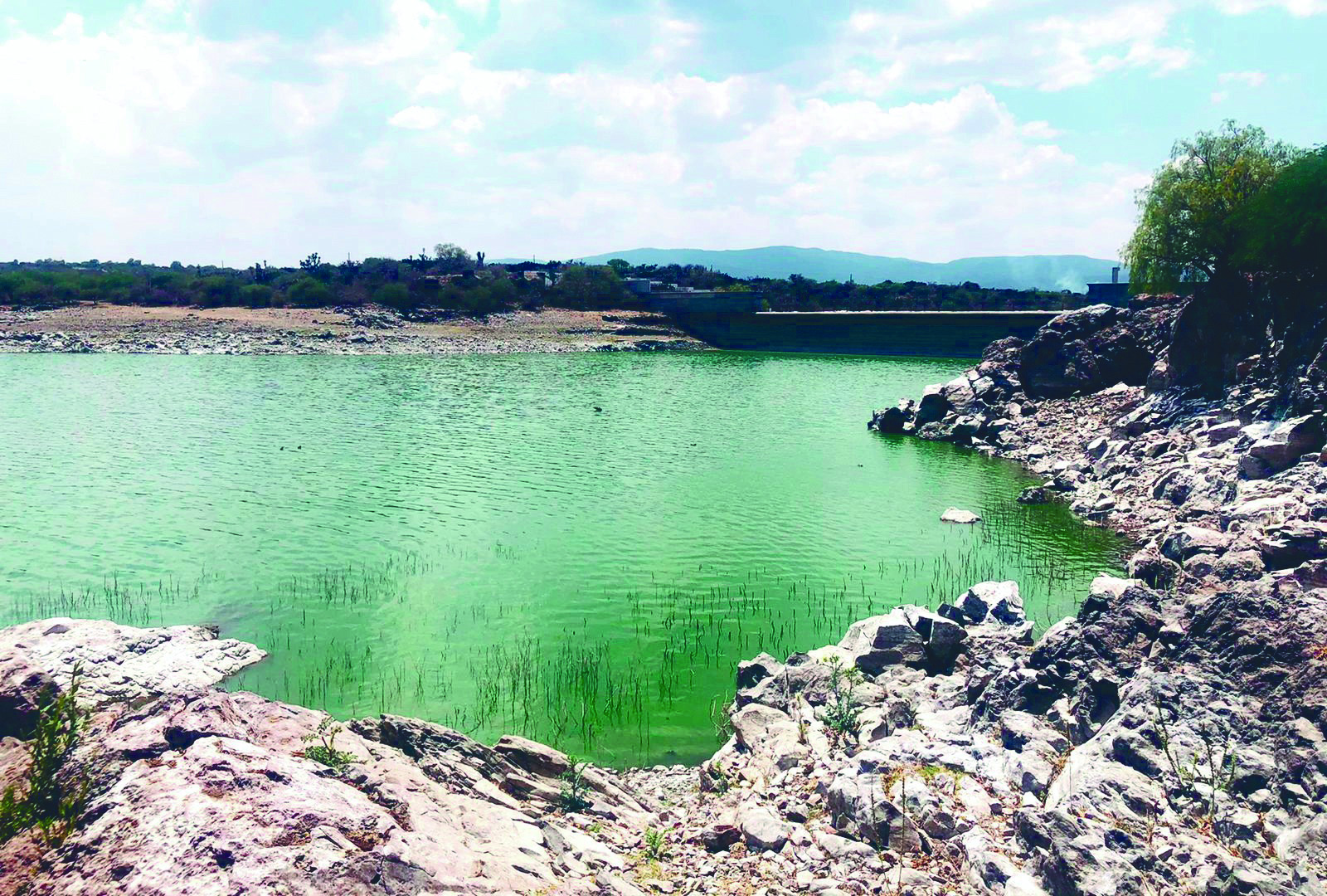 Sequía en Hidalgo: presas turísticas con niveles críticos de agua