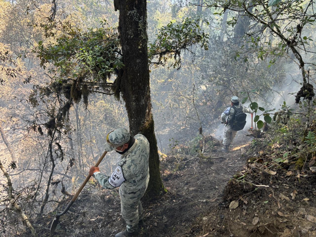 Incendio en Nicolás Flores ha afectado 900 hectáreas de bosque