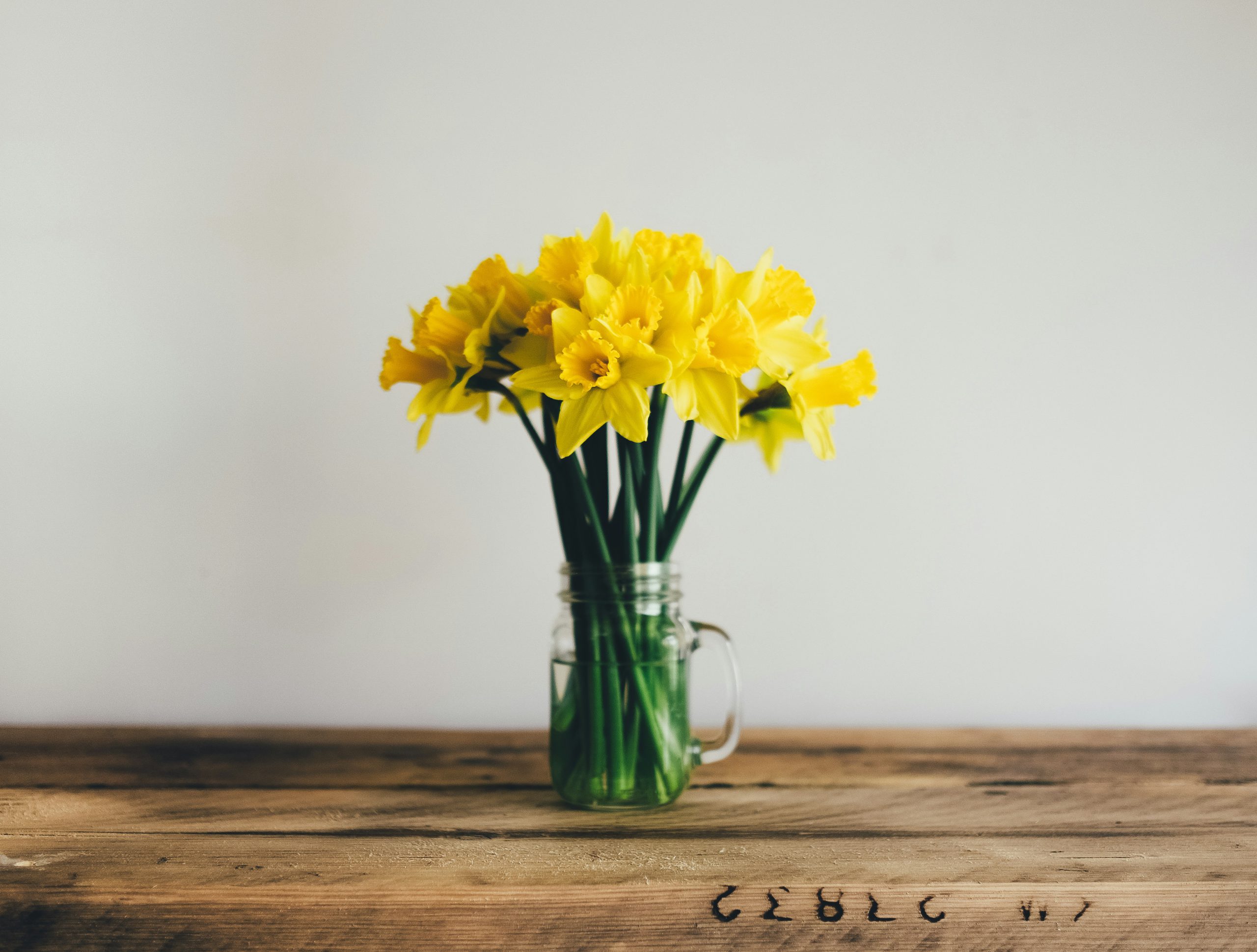 ¿Por qué regalan flores amarillas el 21 de marzo? Origen y significado