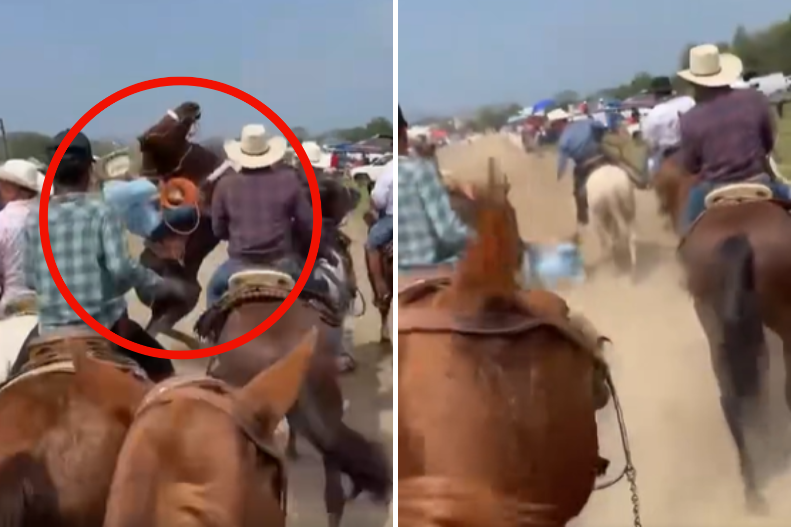 Alcalde de Atlapexco cae de su caballo durante cabalgata