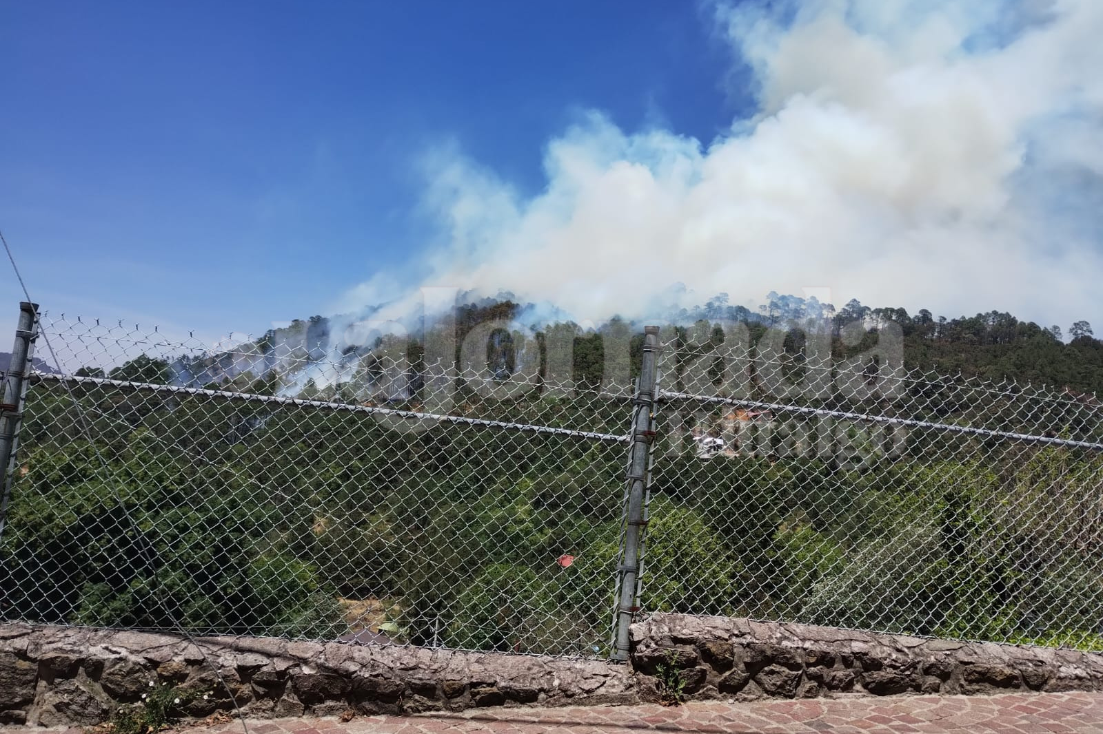 ¡Última Hora! Reportan incendio forestal en Mineral del Chico