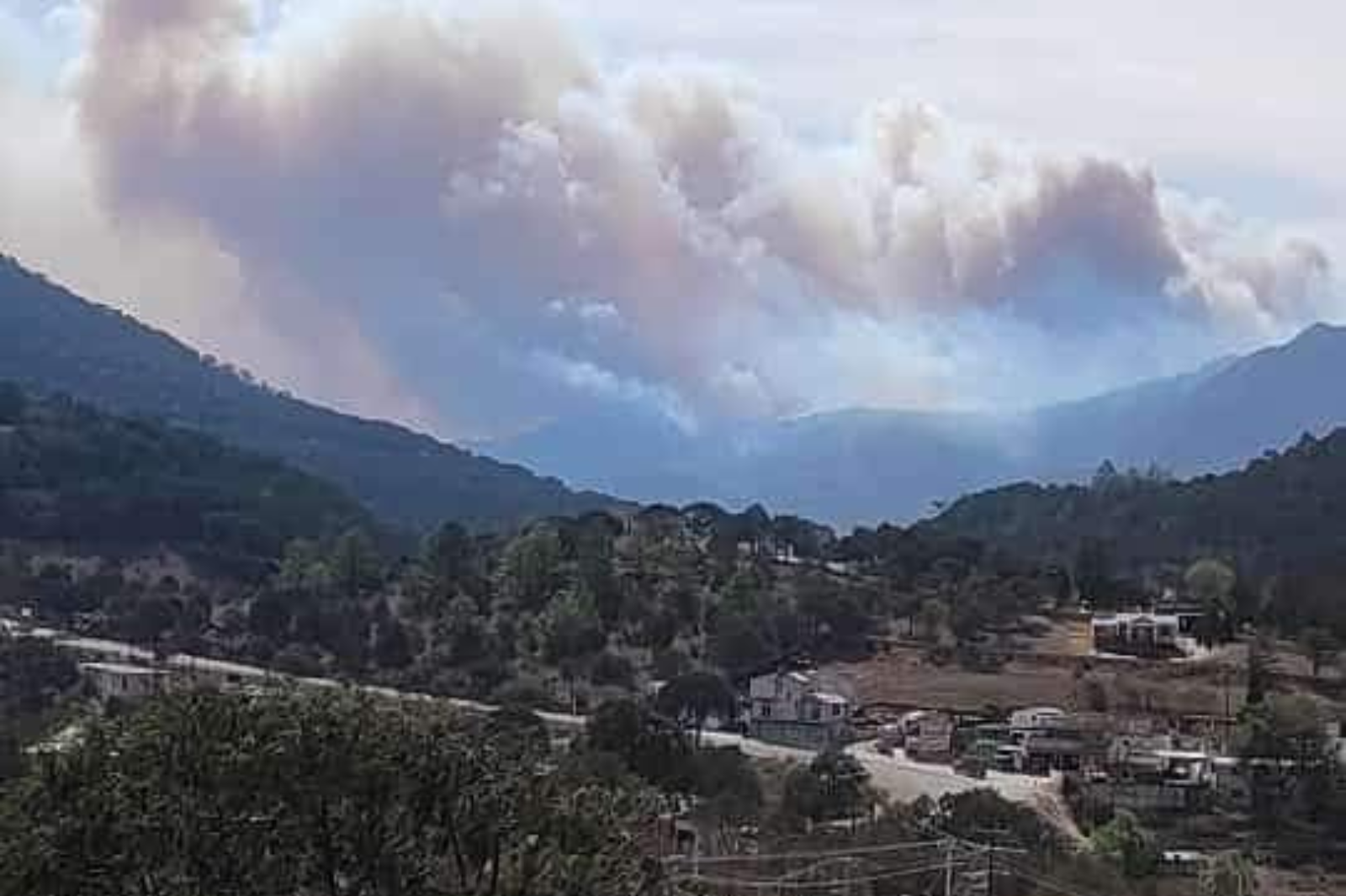 Incendio forestal en Hidalgo: consume localidad de Nicolás Flores