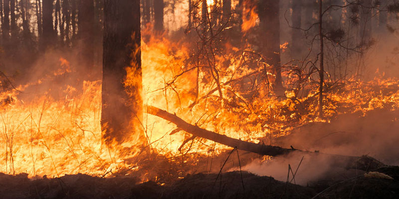 Clima en Hidalgo: prevén altas temperaturas en próximas 48 horas; riesgo de incendios forestales