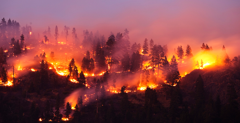 Conafor: se dispararon a 120 los incendios forestales en México