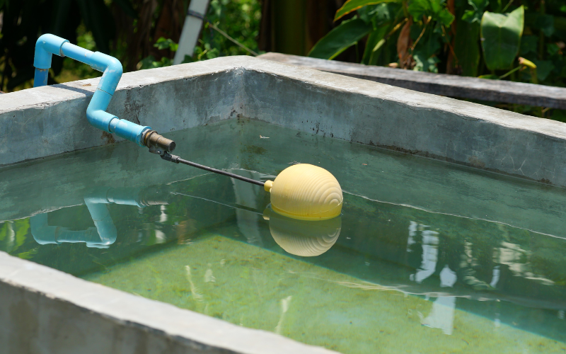 En Hidalgo, el 78% de los hogares no tiene cisterna para almacenar agua