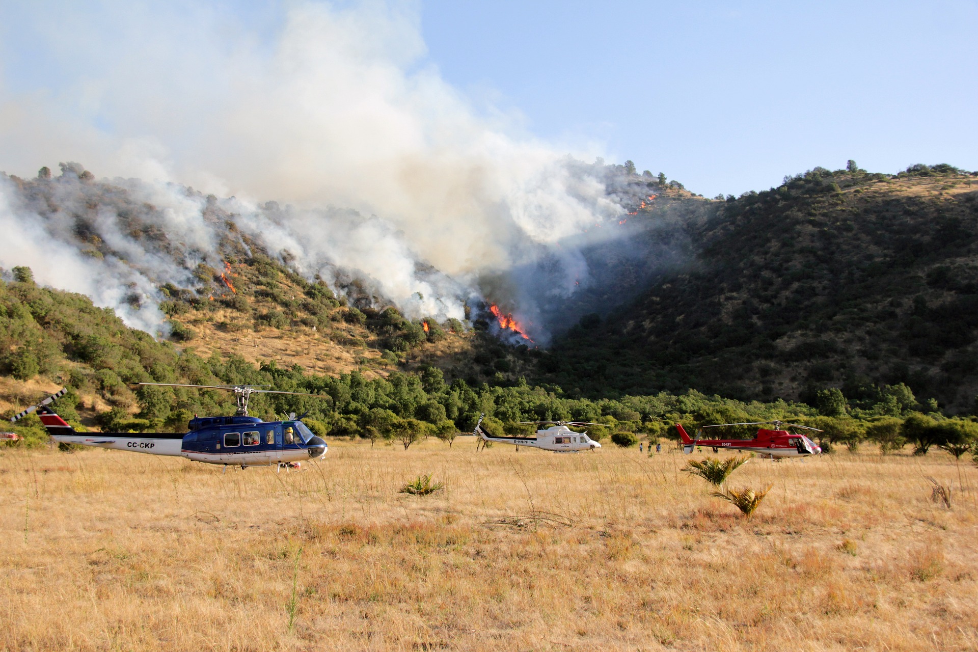 Activos, 75 incendios forestales en 17 estados