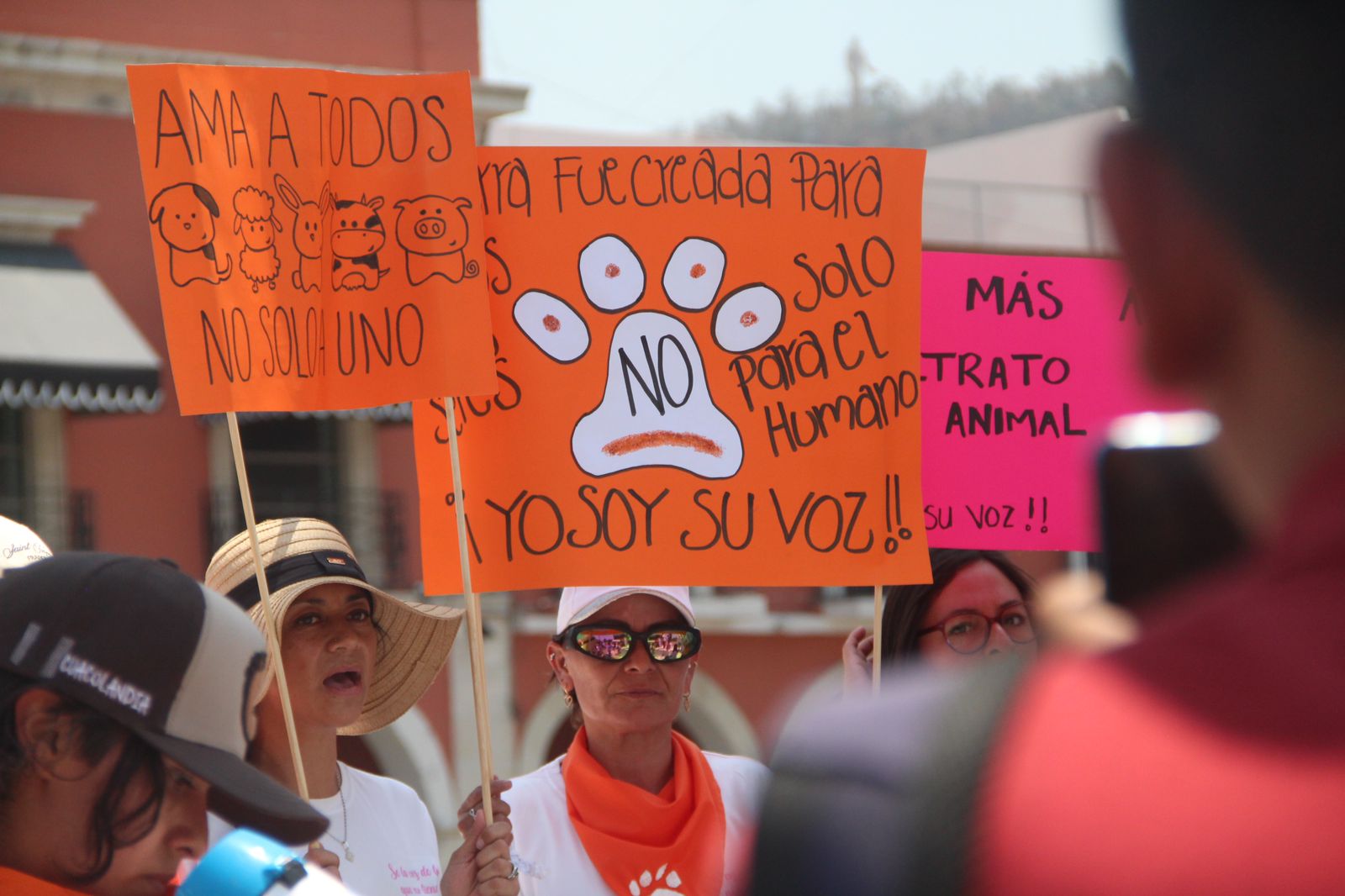 Animalistas de Hidalgo exigen cierre de la Plaza de Toros