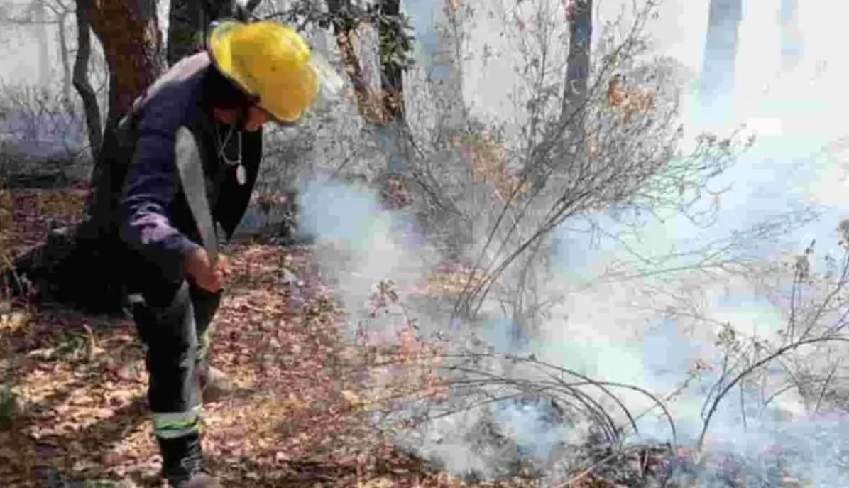 Equipo de Protección Civil y Bomberos de Tepeapulco combate incendio forestal en el Cerro de Xihuingo