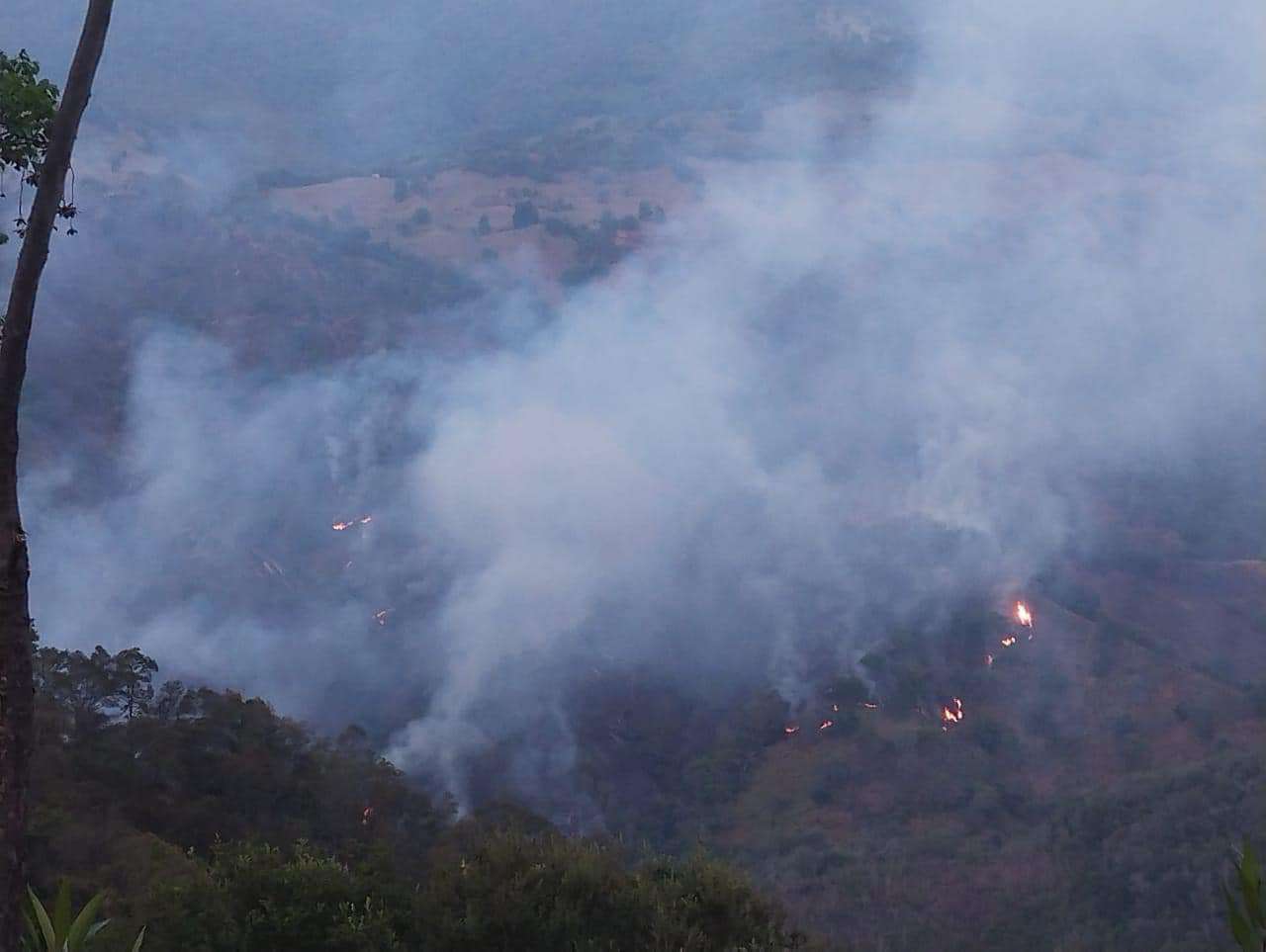 Incendio forestal en Tlanchinol: solicitan ayuda urgente