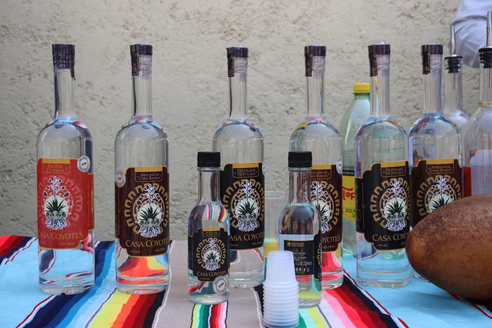 Festival del Cordero y Mezcal 2024: quesos, cata de vino y más en Atotonilco El Grande