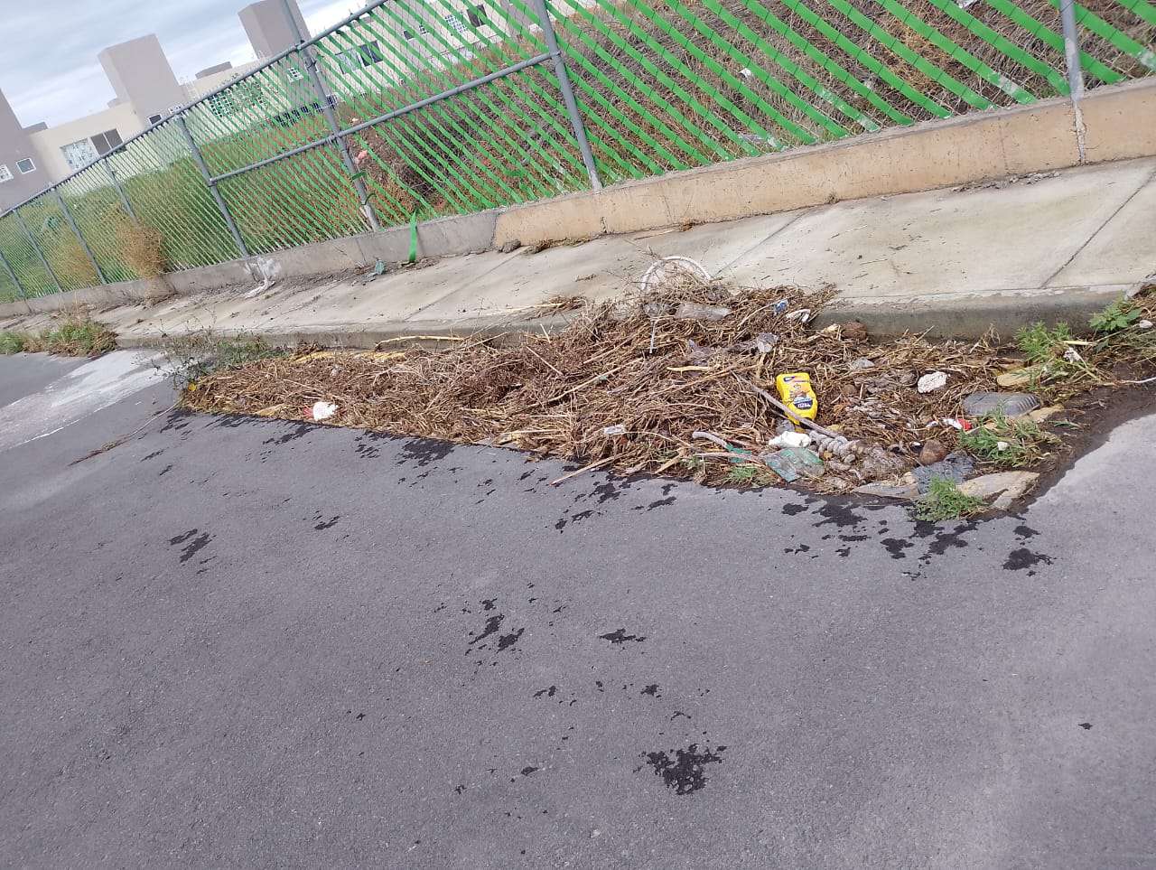 Cada semana Tizayuca recolecta 4 toneladas de basura tirada en las calles 