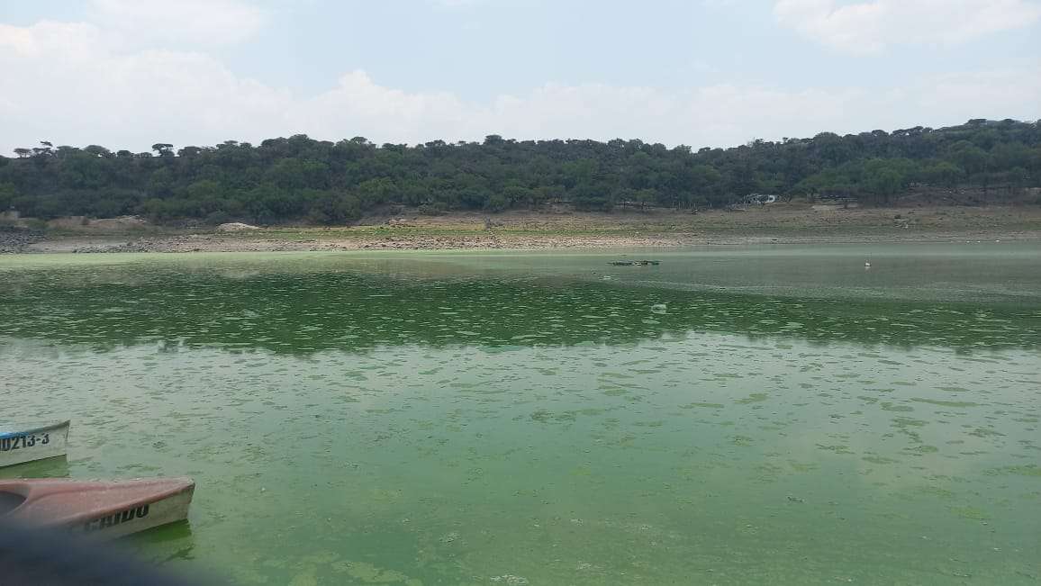 Tepeji del Río: piden desazolvar presa Requena para beneficiar a pescadores