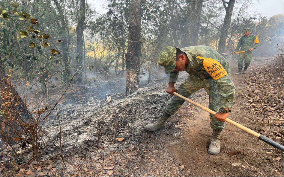 Sofocan 38 incendios forestales en Hidalgo entre mayo y junio