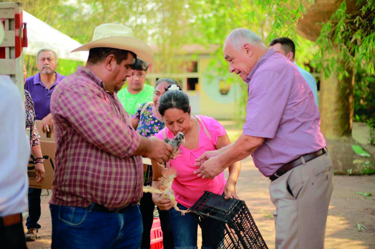 Huejutla: entregan paquetes de pollos a familias