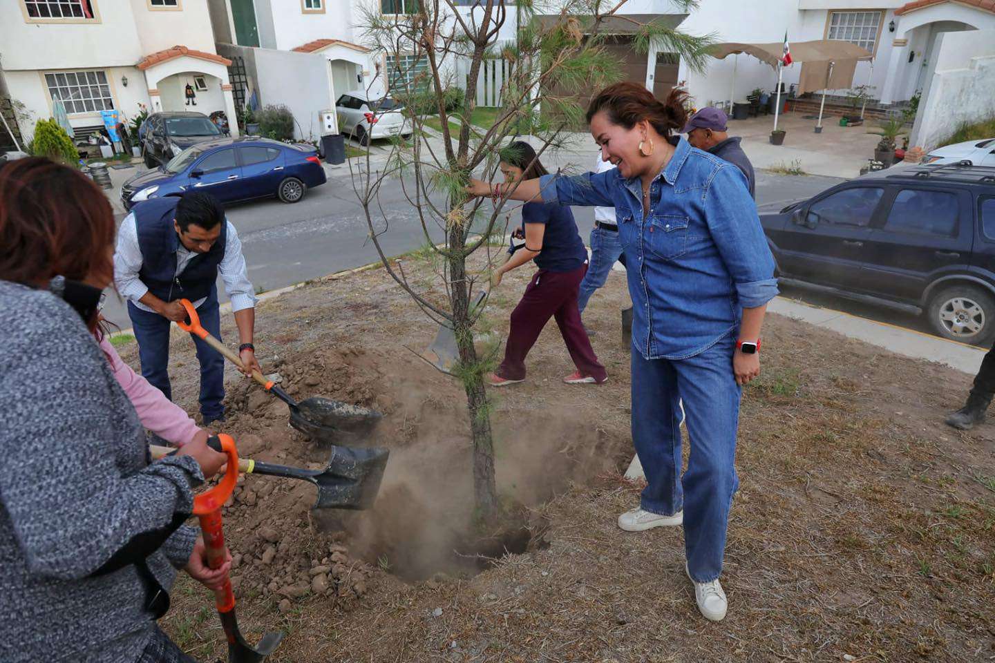 Sobrevive 90 por ciento de los árboles que se han sembrado en Pachuca