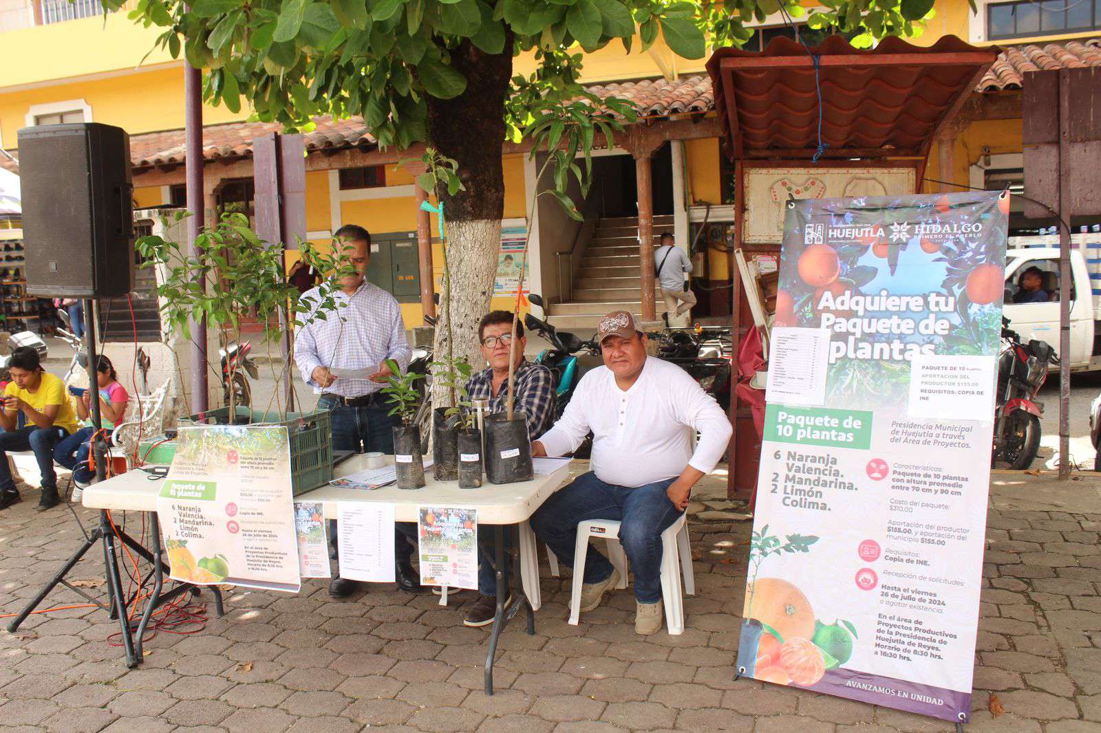 Gobierno de Huejutla subsidia paquete de árboles frutales