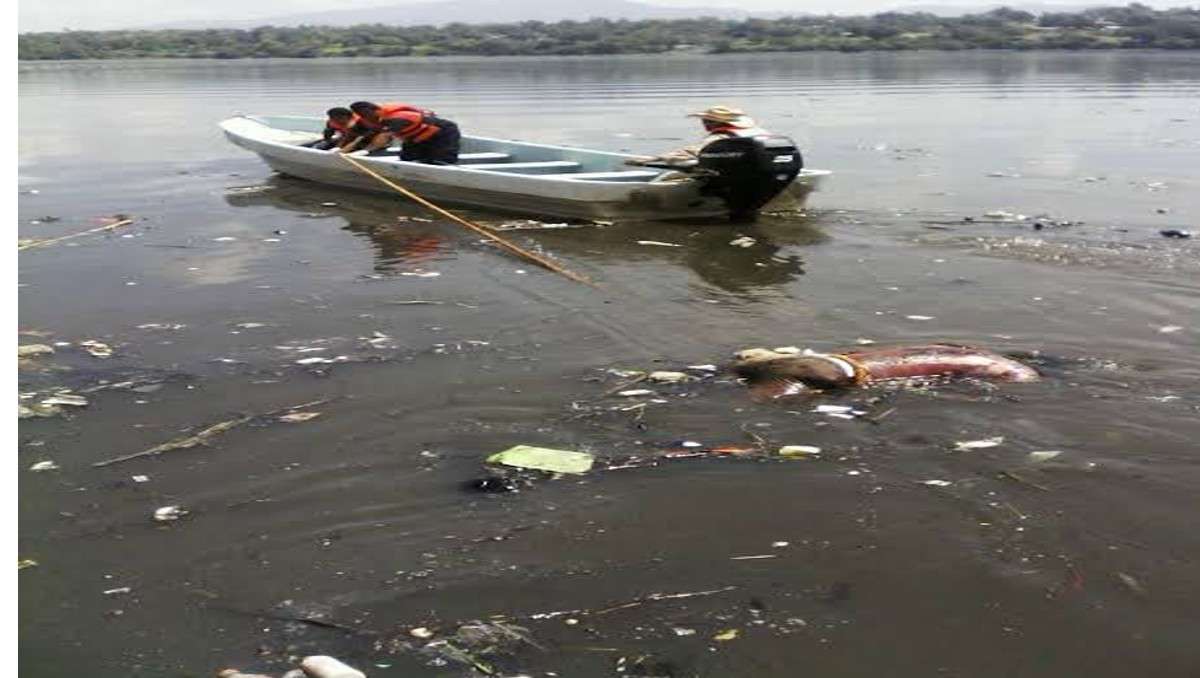 Encuentran cuerpo flotando en la presa Endhó