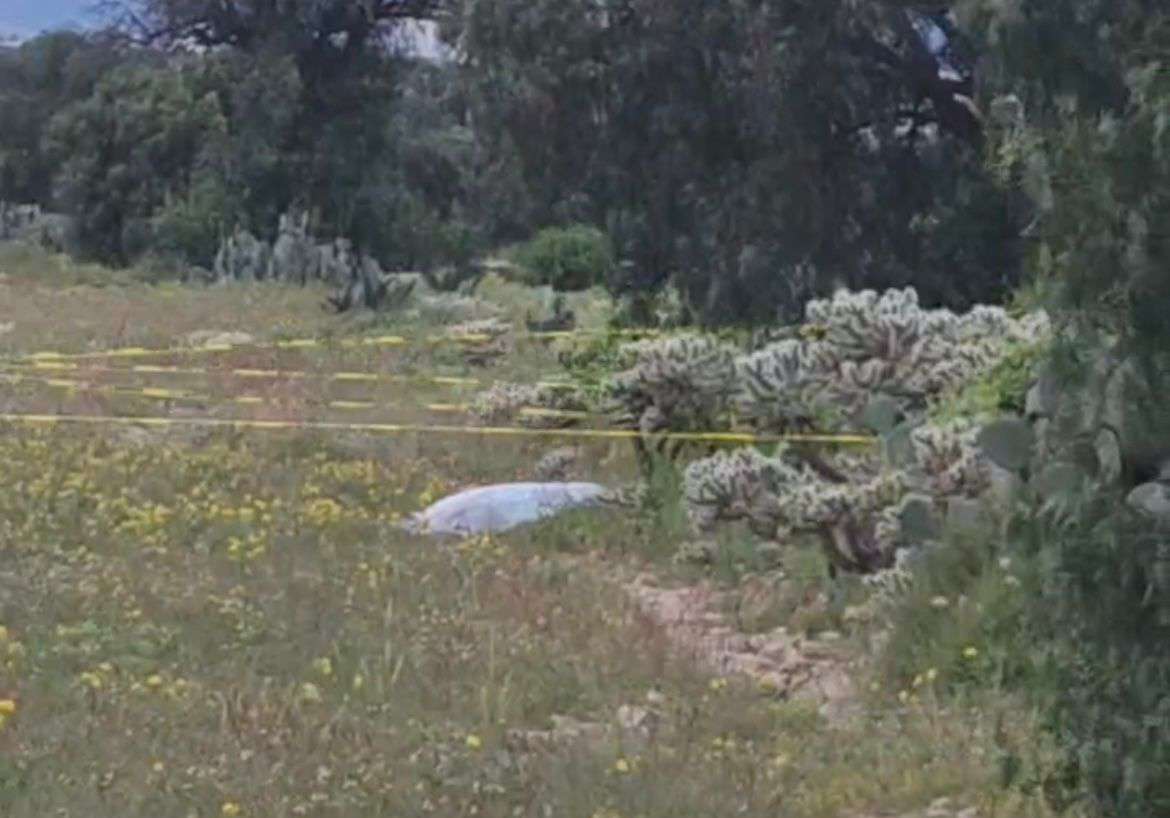 Mineral de la Reforma: hallan cadáver de mujer en bulevar Saucillo-Providencia