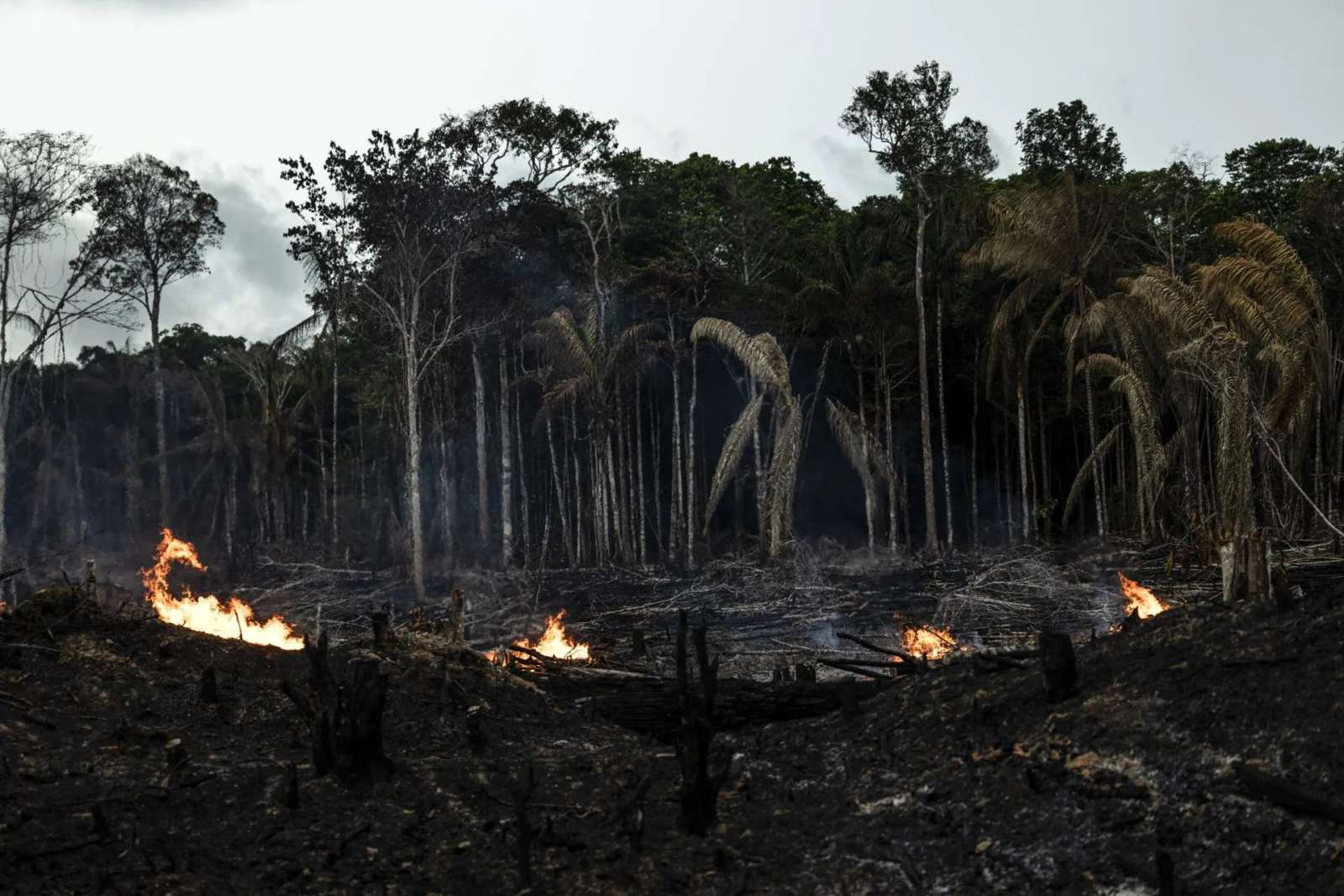 Los incendios en Brasil en lo que va de año ya superan todos los de 2023