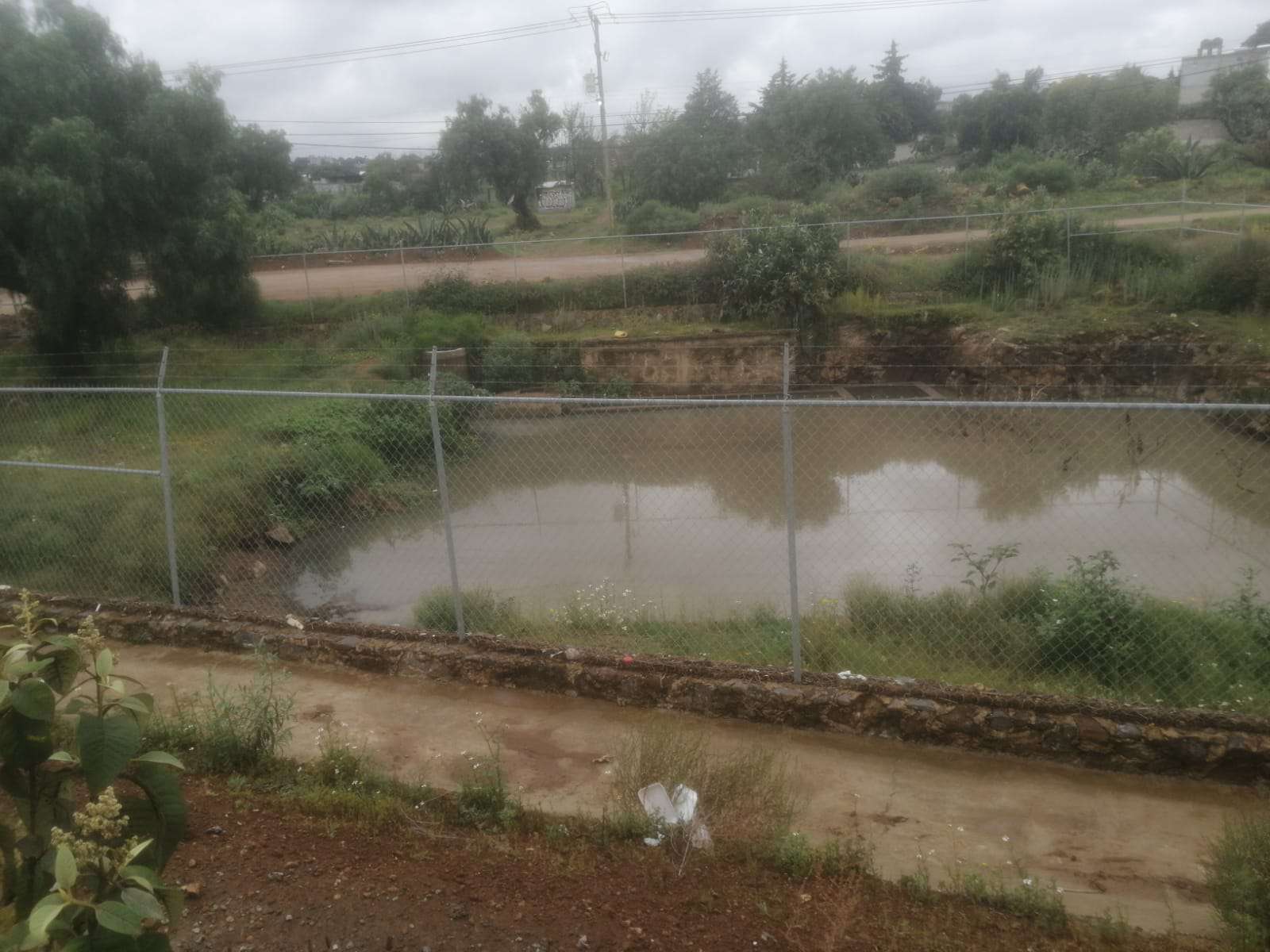 Denuncian derrame de aguas negras y hedor de planta tratadora en Almoloya, Cuautepec