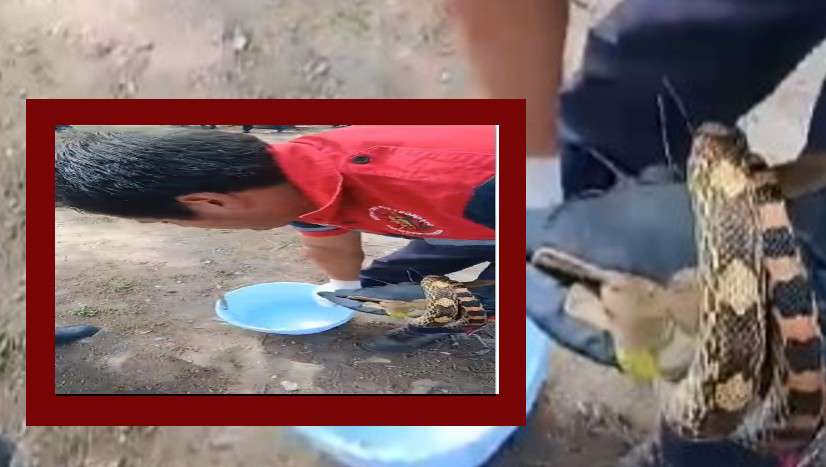 Capturan serpiente en escuela de Alfajayucan