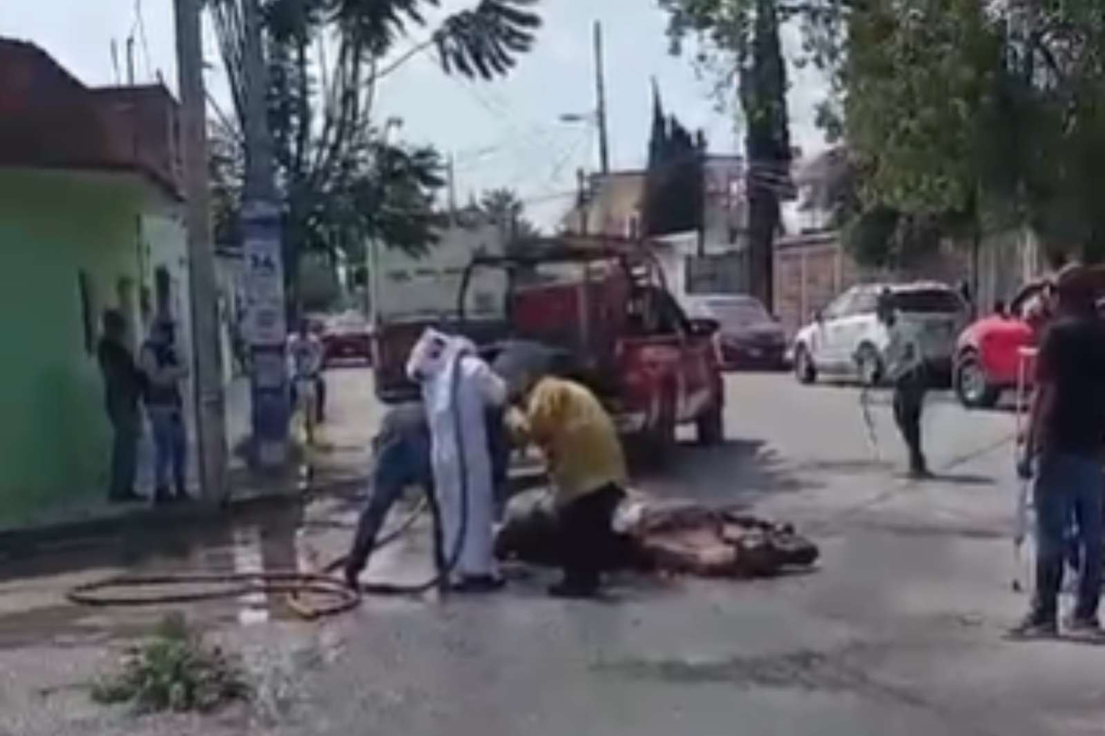 Caballo atacado por abejas en Tizayuca es rescatado por bomberos