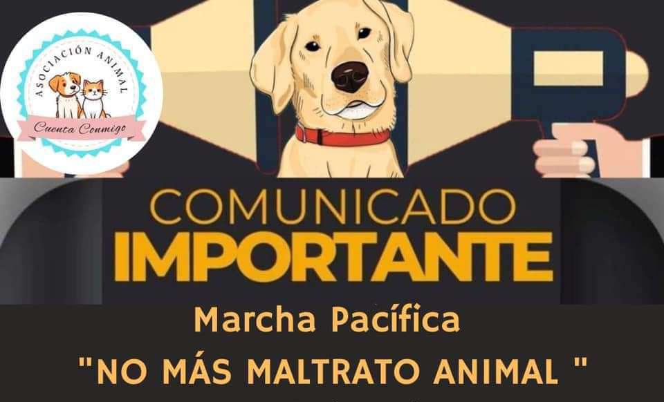 Tulancingo: marcharán en contra del maltrato animal | Fecha y lugar