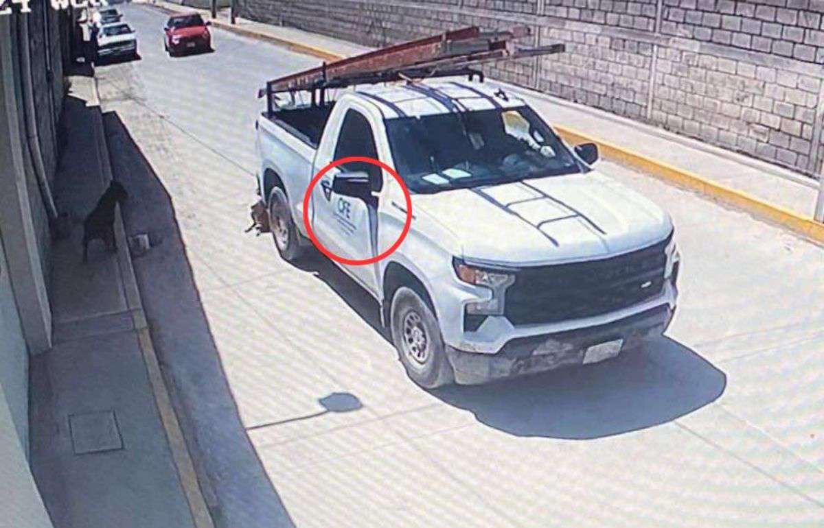 Pachuca: camioneta de la CFE atropella y mata a perro