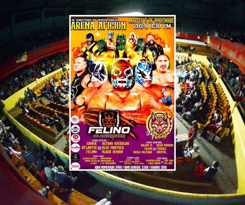 Lucha Libre: Felino celebrará 40 años de trayectoria en la Arena Afición de Pachuca