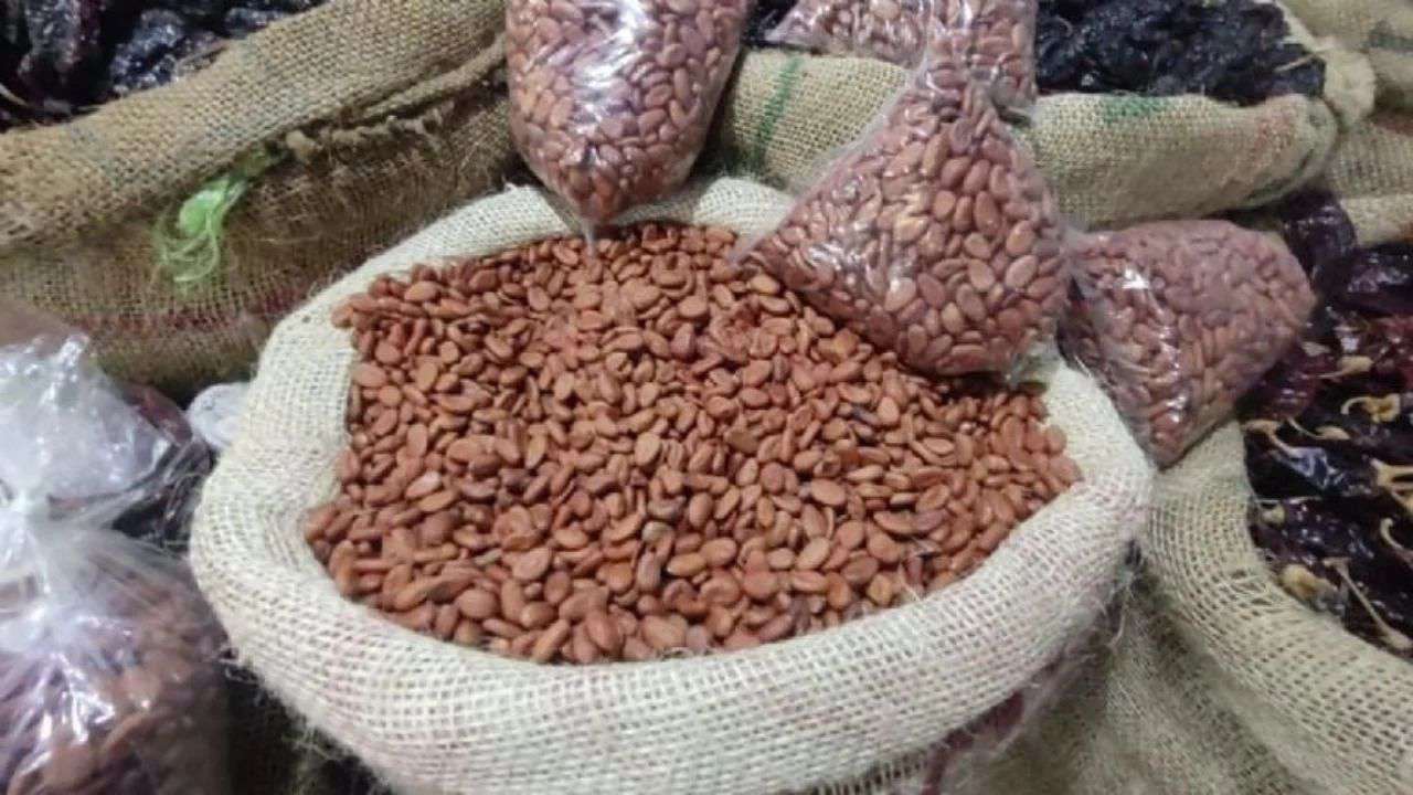 Xantolo 2024: sequía reduce suministro de cacao para festividades