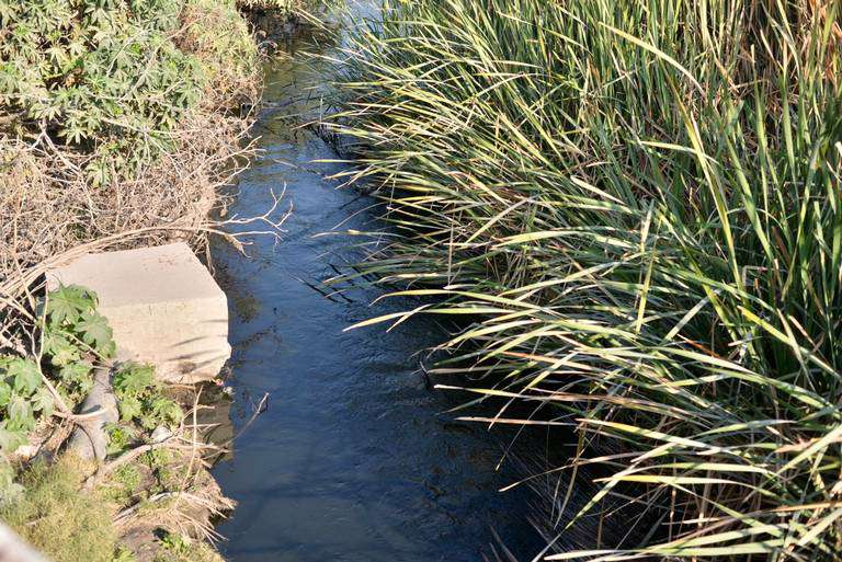 Tasquillo: encuentran cuerpo flotando en canal de aguas negras