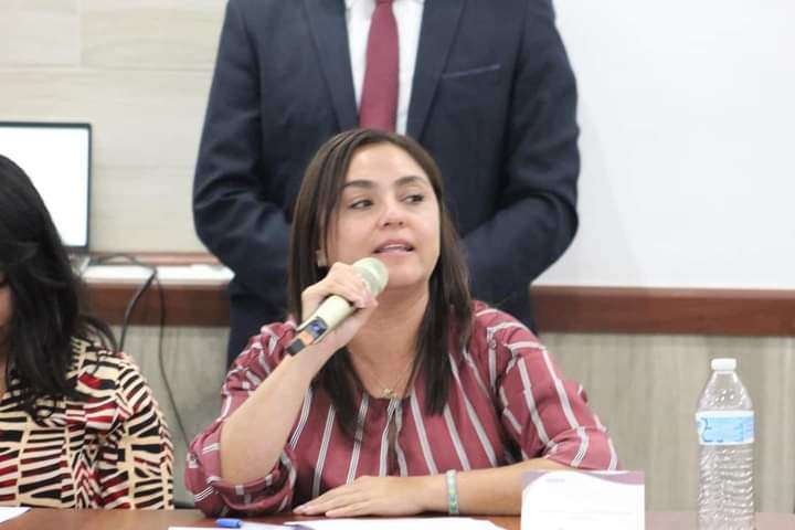 Sin presión para armonizar Reforma Judicial en Hidalgo: diputada