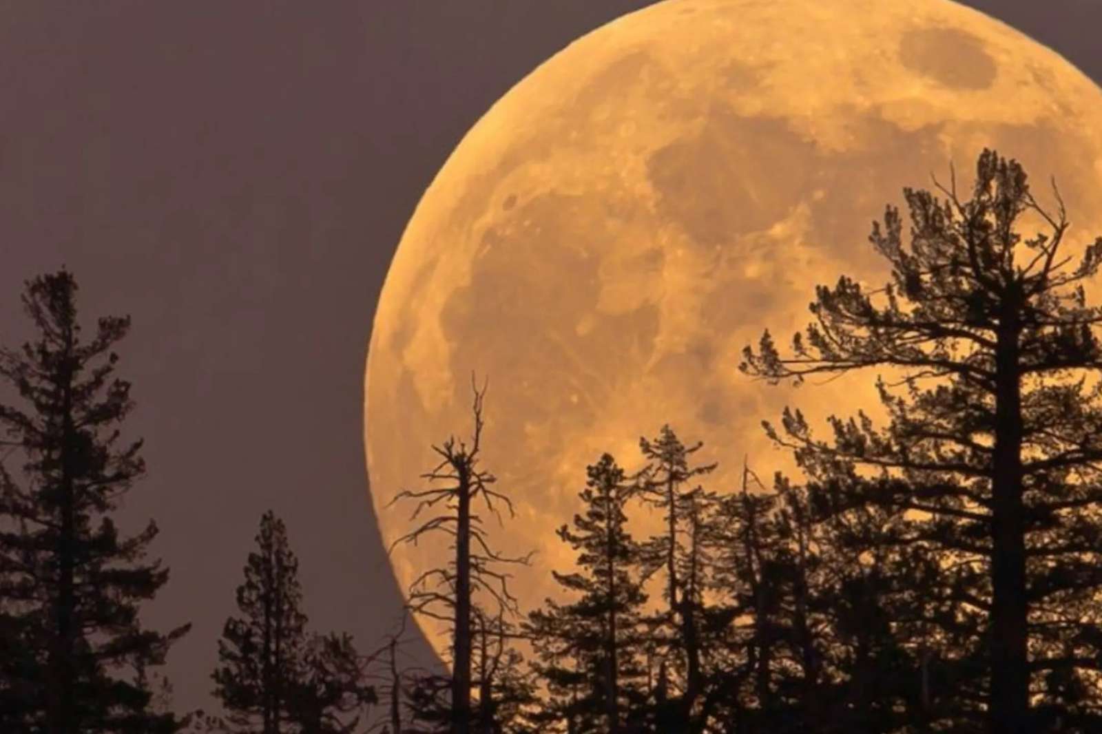 Superluna de noviembre 2025: así podrás ver la Luna más grande y brillante del año en Hidalgo