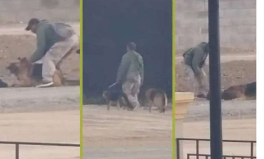 Hombre es captado atacando a dos perros con un machete en Zempoala