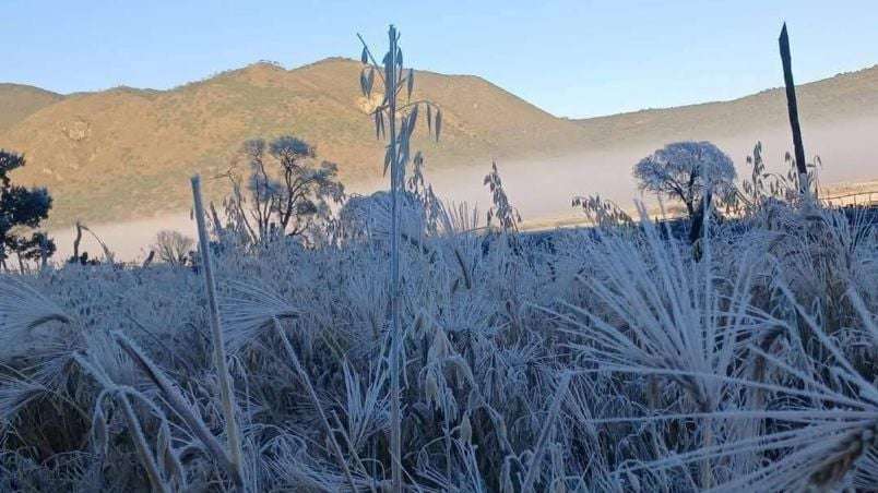 Clima Hidalgo: pronostican heladas y mínimas de 4°