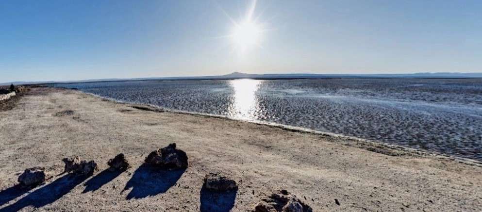 Descubren microbios vivos en el desierto más seco de la Tierra