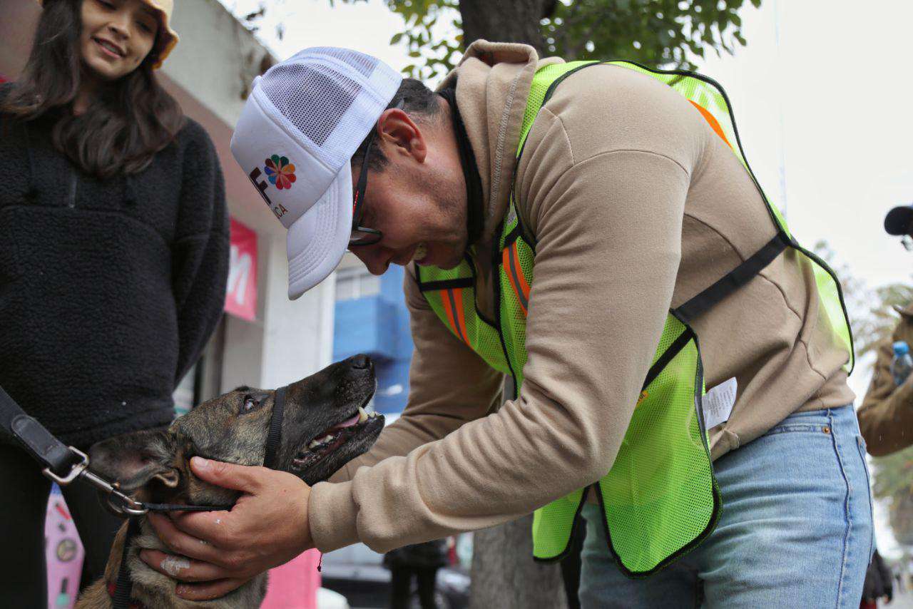 Jornadas de esterilización en Pachuca: ¿dónde y cuándo serán?