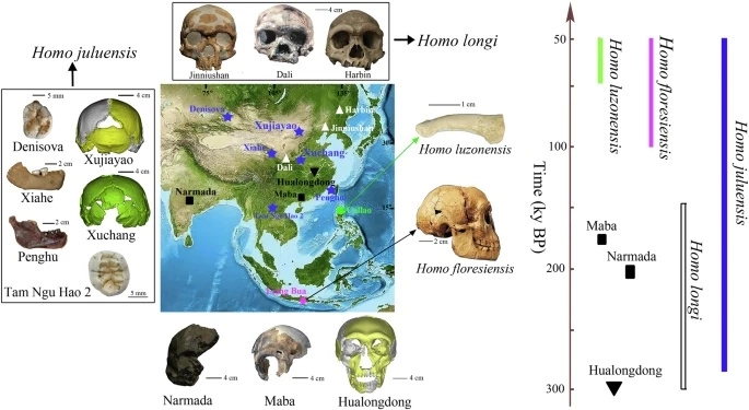 Posible nueva especie humana revelada en Asia