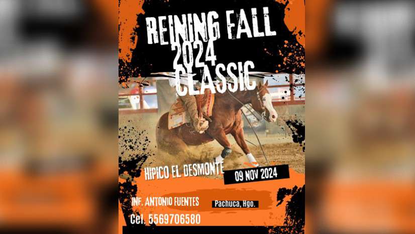 Reining Fall 2024 Classic llega a Hidalgo; te contamos los detalles