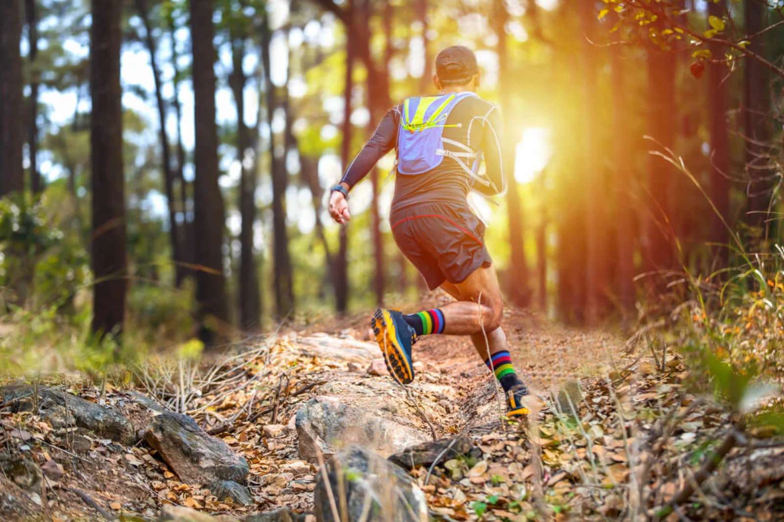 Trail Santiago de Anaya 2024: todo lo que debes saber